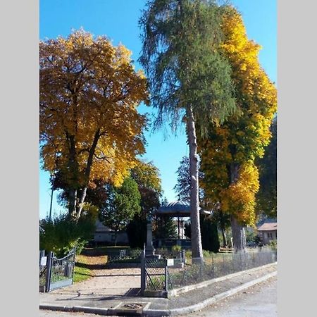 Maison Independ. 6 Personnes A 10 Mn De Gerardmer Granges-sur-Vologne Zewnętrze zdjęcie