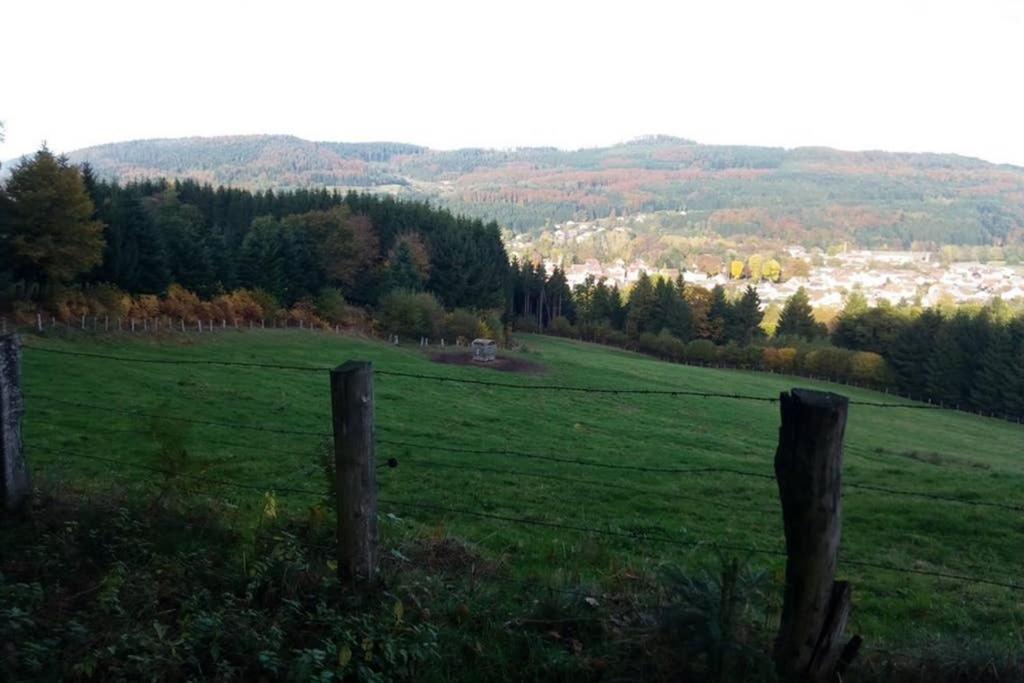 Maison Independ. 6 Personnes A 10 Mn De Gerardmer Granges-sur-Vologne Zewnętrze zdjęcie