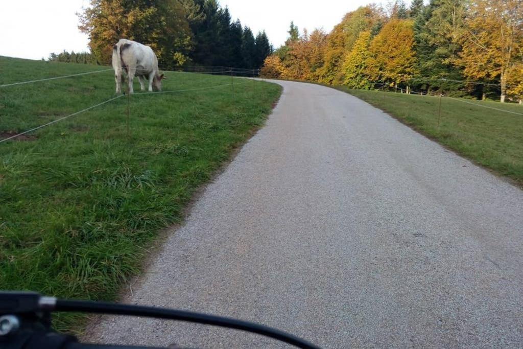 Maison Independ. 6 Personnes A 10 Mn De Gerardmer Granges-sur-Vologne Zewnętrze zdjęcie