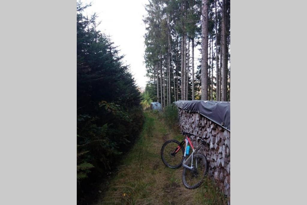 Maison Independ. 6 Personnes A 10 Mn De Gerardmer Granges-sur-Vologne Zewnętrze zdjęcie