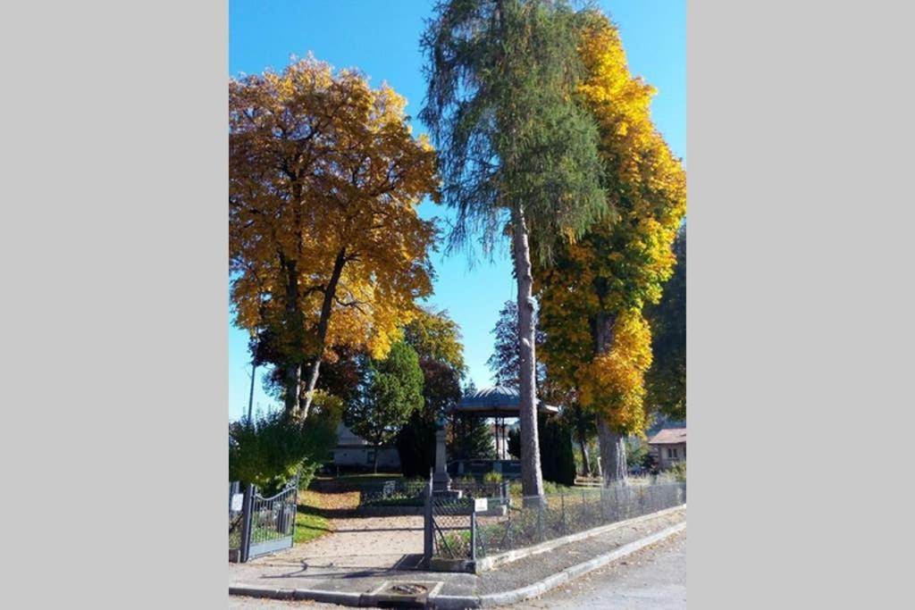 Maison Independ. 6 Personnes A 10 Mn De Gerardmer Granges-sur-Vologne Zewnętrze zdjęcie